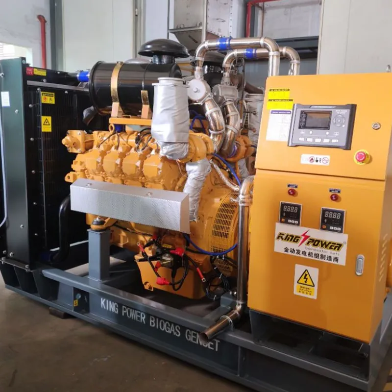 300 kW открытая биогазовая генераторная установка (6)
